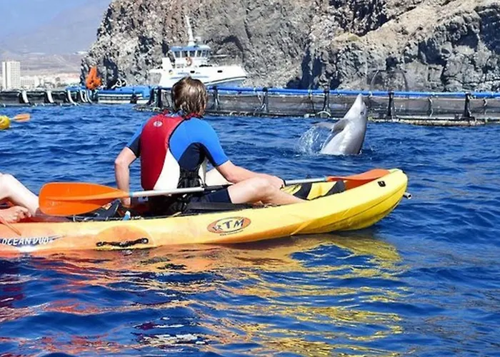 Schoene Radazul Meerblick By Interhome Appartement El Rosario (Tenerife)