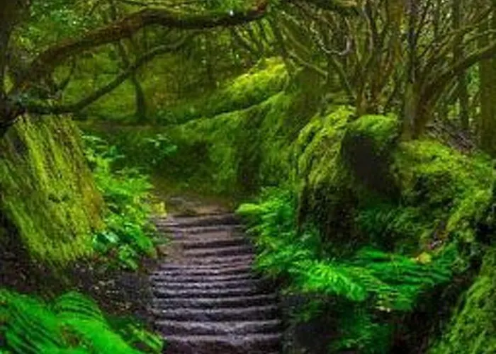 Appartement Schoene Radazul Meerblick By Interhome